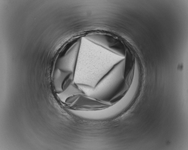 X0000112490977200909071217