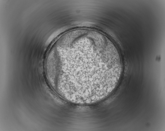 X0000112490978200909071217