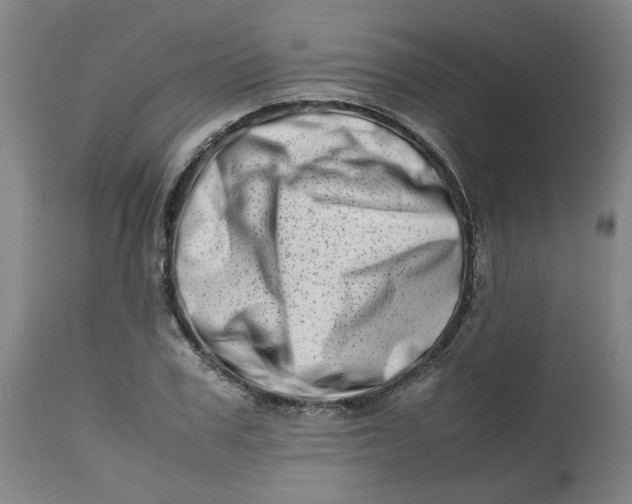 X0000112490979200909071217