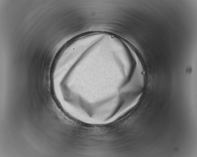 X0000112490980200909071217