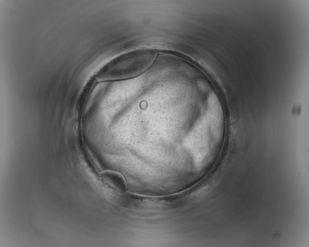 X0000112490981200909071217