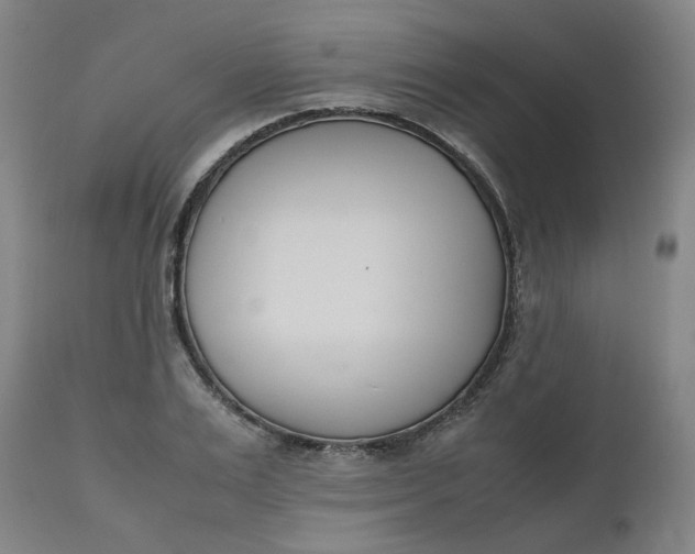 X0000112490983200909071217