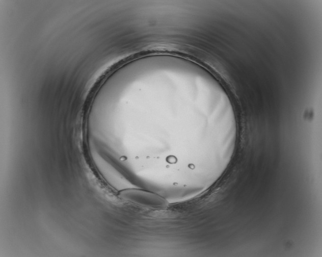 X0000112490984200909071217