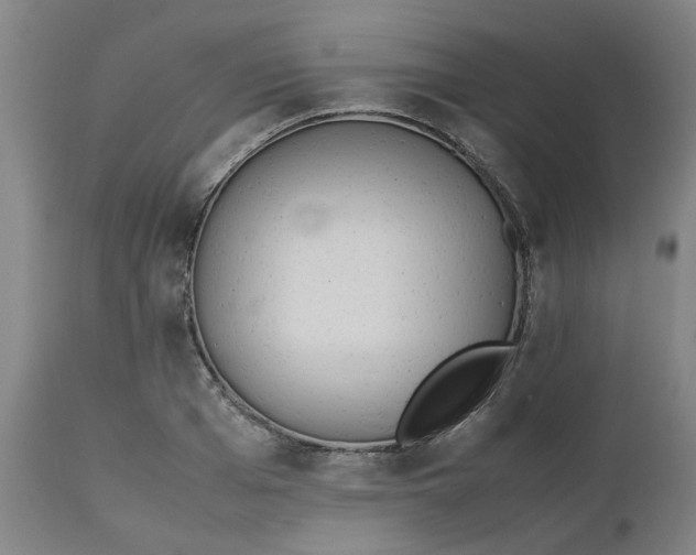 X0000112490985200909071217