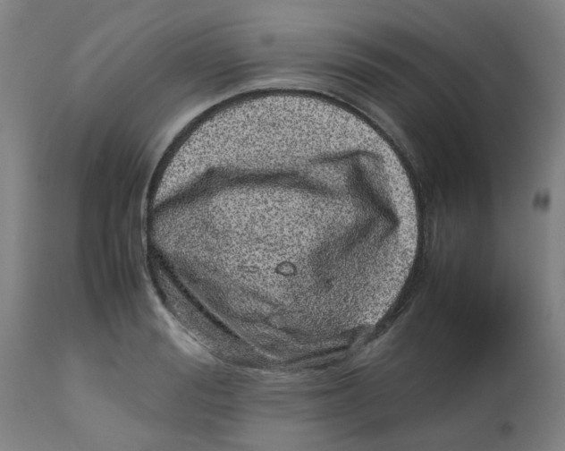 X0000112490988200909071217