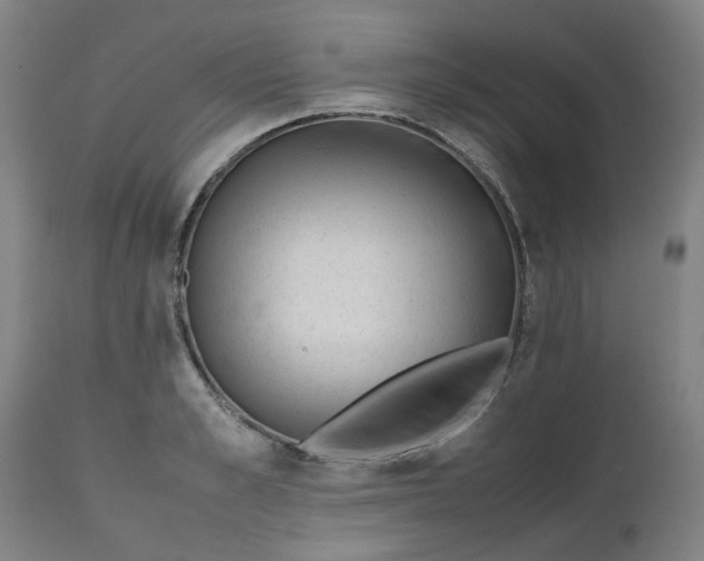 X0000112490989200909071217