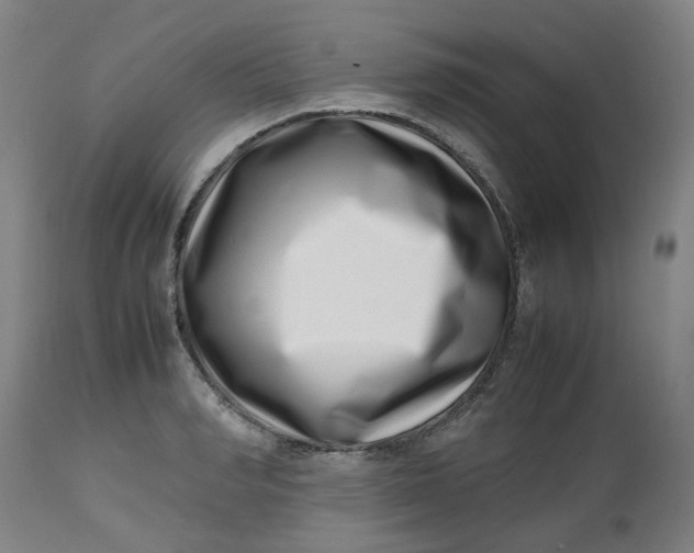 X0000112490990200909071217