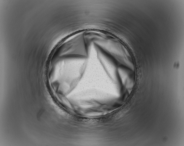 X0000112490991200909071217