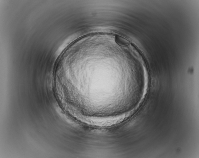 X0000112490994200909071217