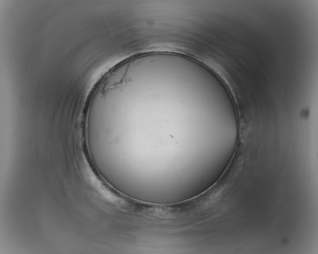 X0000112490995200909071217