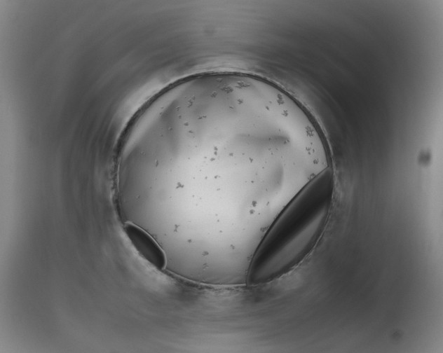 X0000112490997200909071217