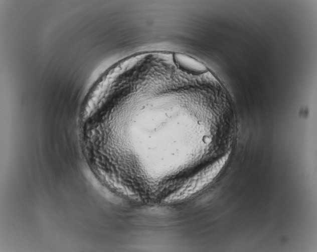 X0000112490998200909071217