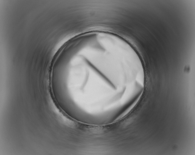 X0000112490999200909071217