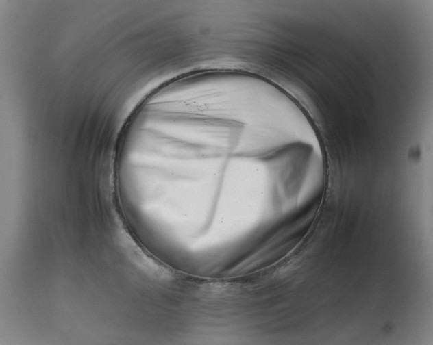 X0000112491000200909071217