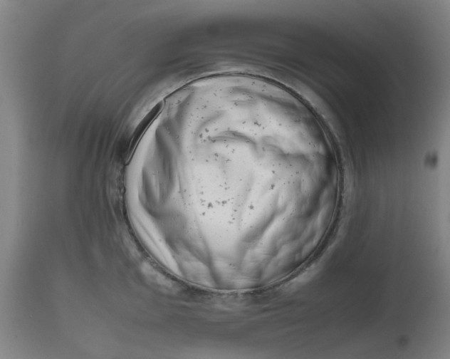 X0000112491001200909071217