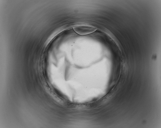 X0000112491002200909071217