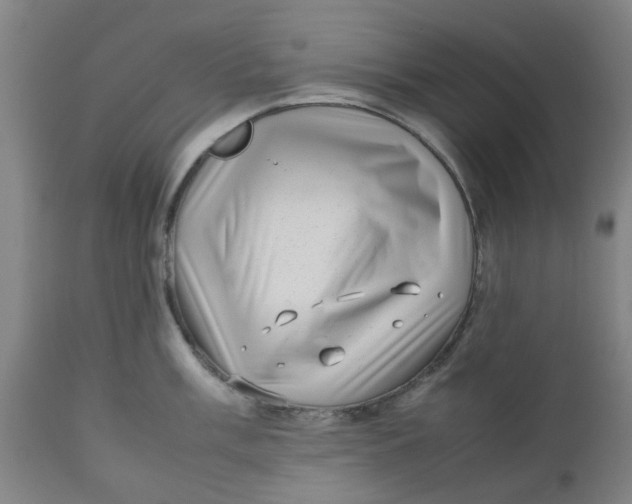 X0000112491003200909071217