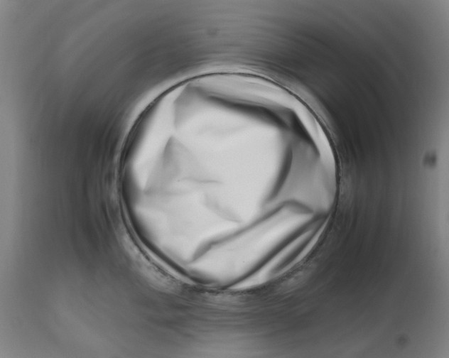 X0000112491004200909071217