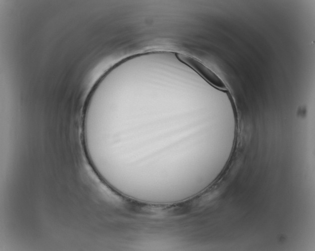 X0000112491005200909071217