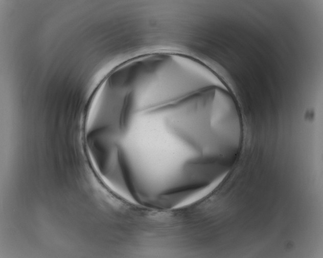 X0000112491006200909071217