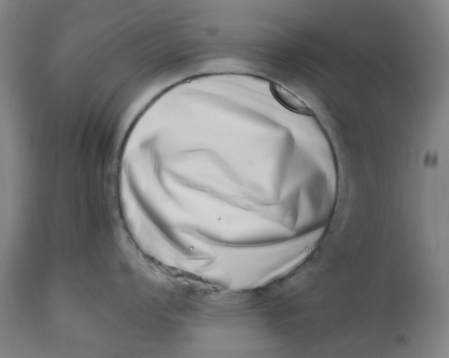 X0000112491008200909071217