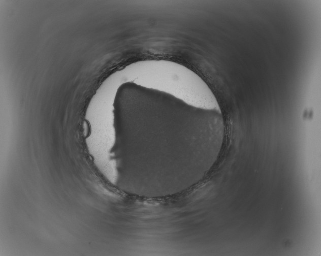 X0000112491009200909071216