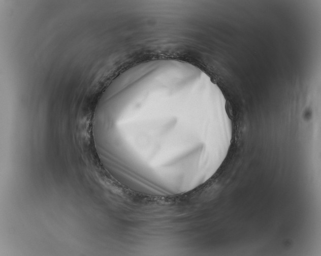 X0000112491010200909071216