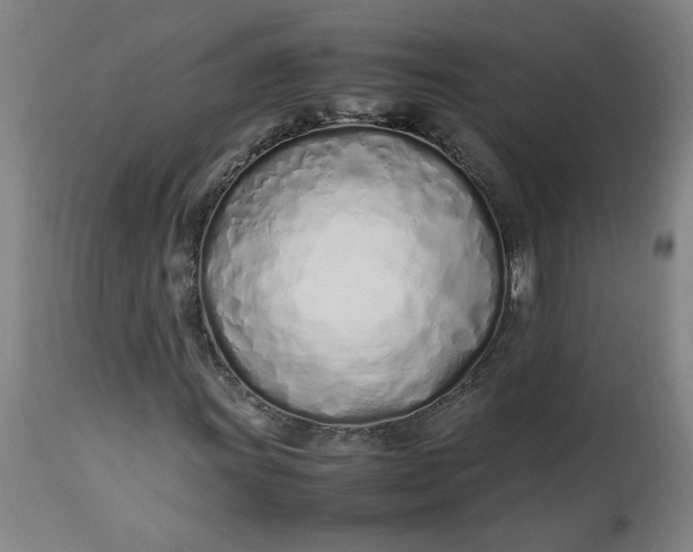 X0000112491011200909071216