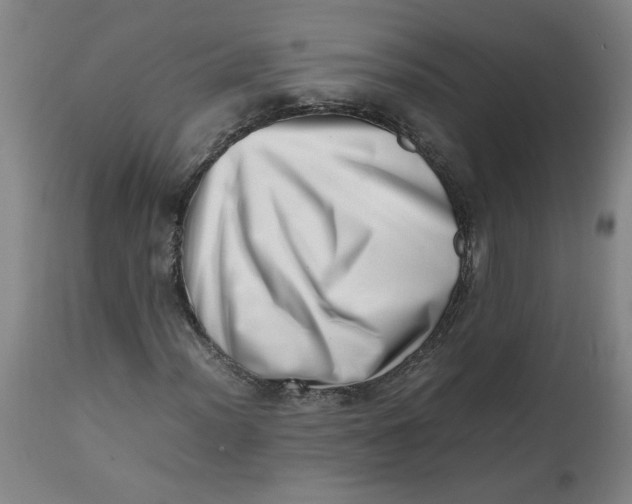 X0000112491012200909071216