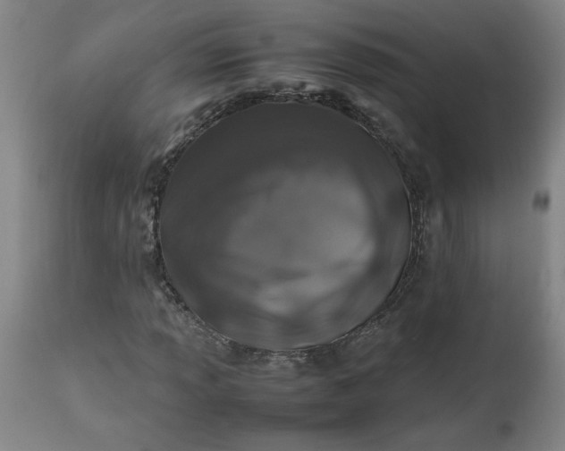 X0000112491013200909071216