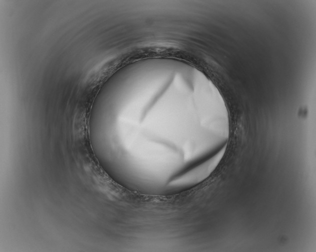 X0000112491014200909071216