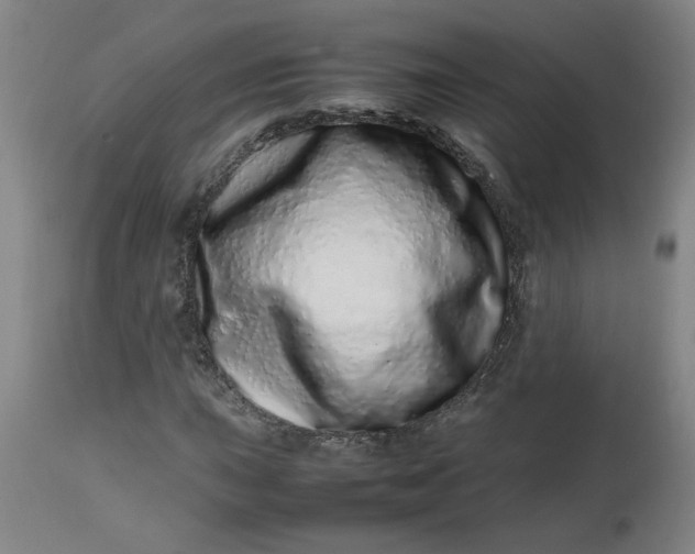 X0000112491015200909071216