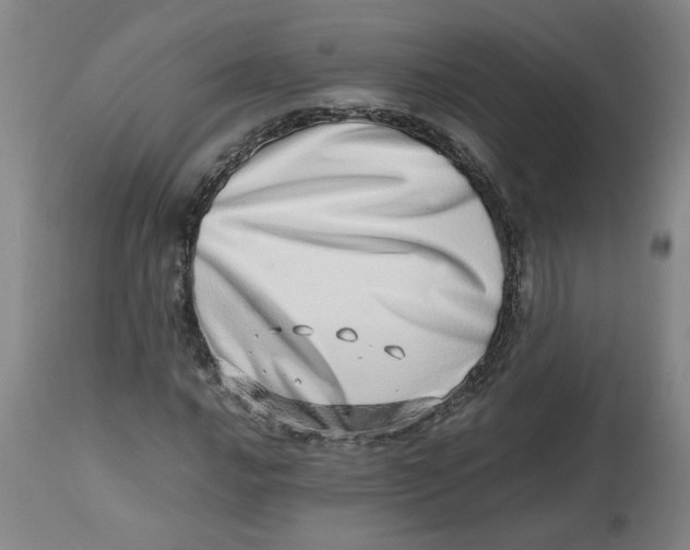 X0000112491016200909071216