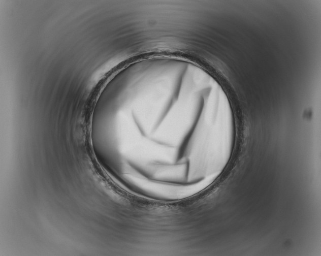 X0000112491018200909071216