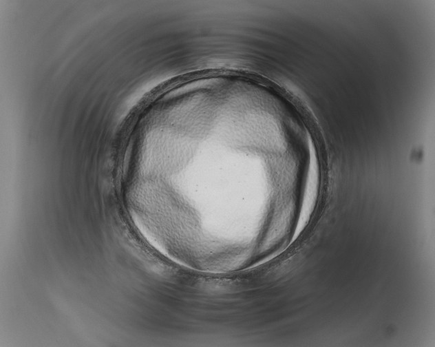 X0000112491019200909071216