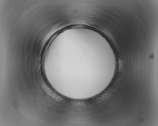 X0000112491020200909071216