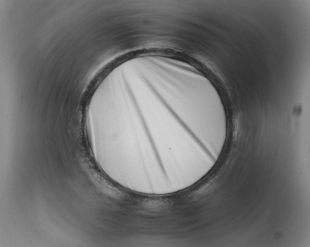 X0000112491021200909071216