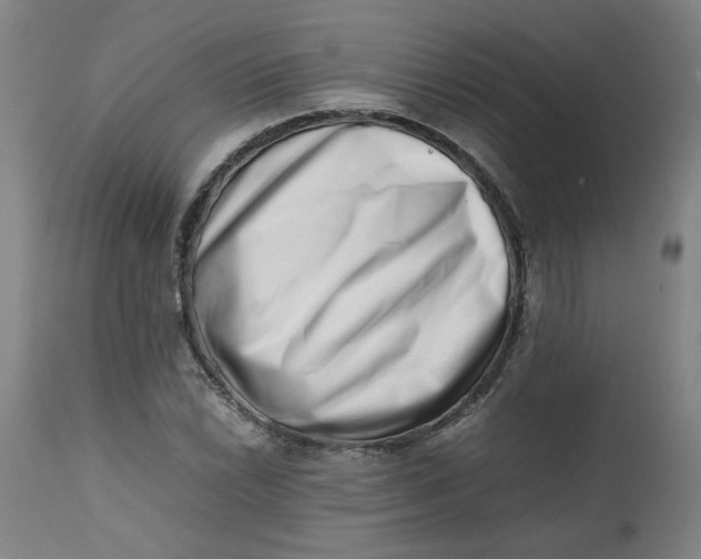 X0000112491022200909071216