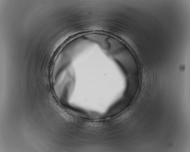 X0000112491023200909071216