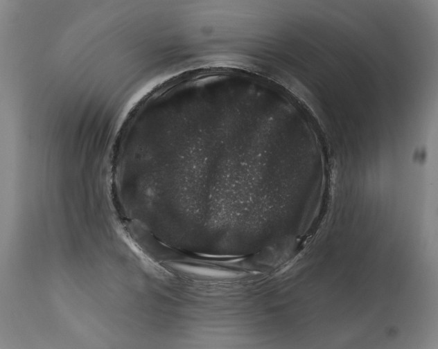 X0000112491024200909071216