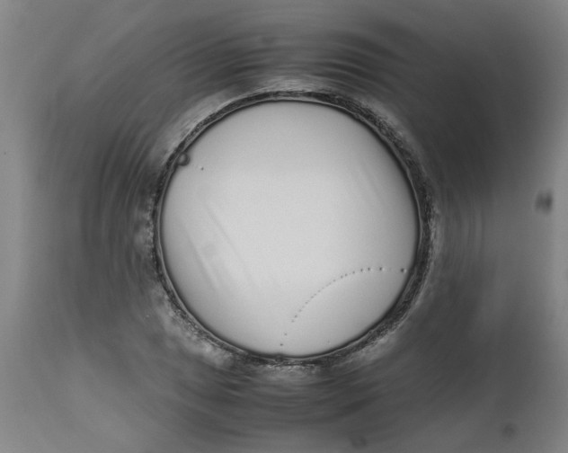 X0000112491025200909071216