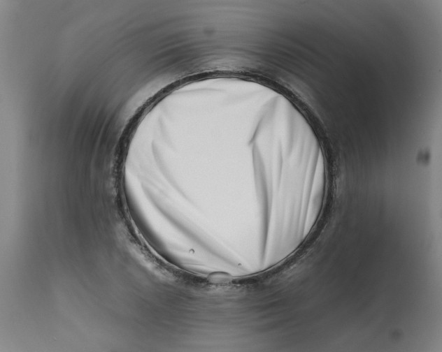 X0000112491026200909071216