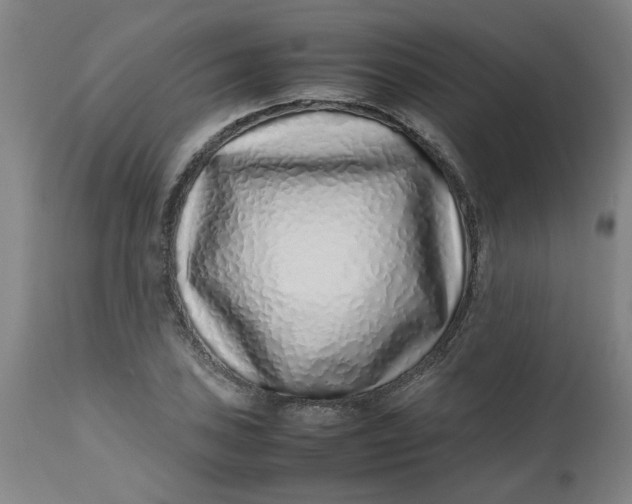 X0000112491027200909071216