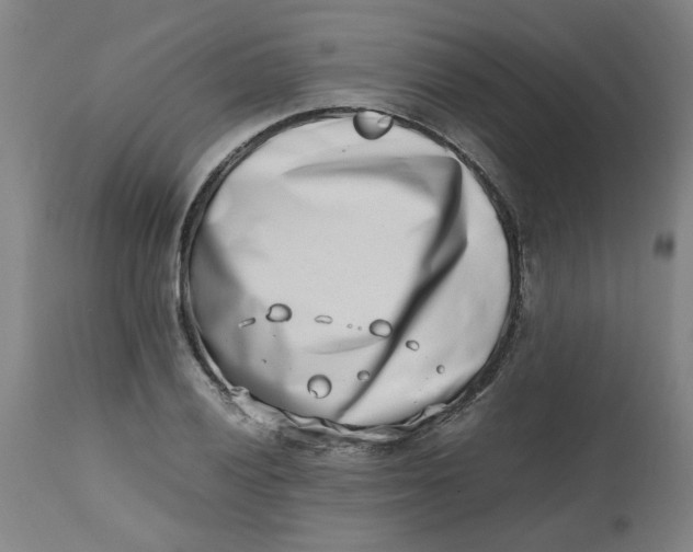 X0000112491028200909071216