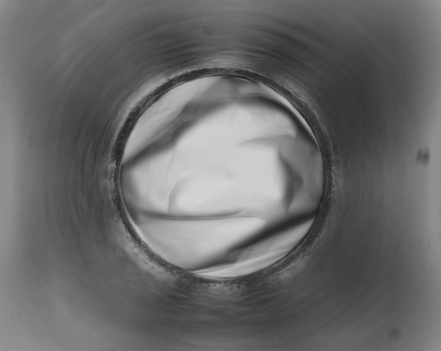 X0000112491029200909071216