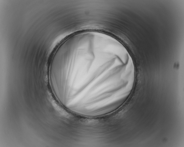 X0000112491030200909071216