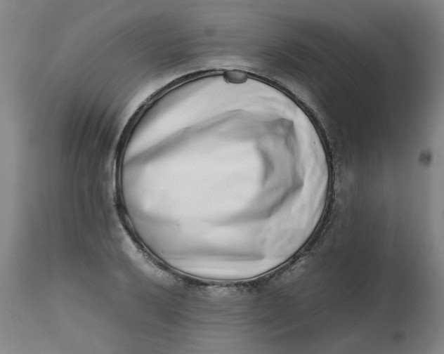 X0000112491032200909071216