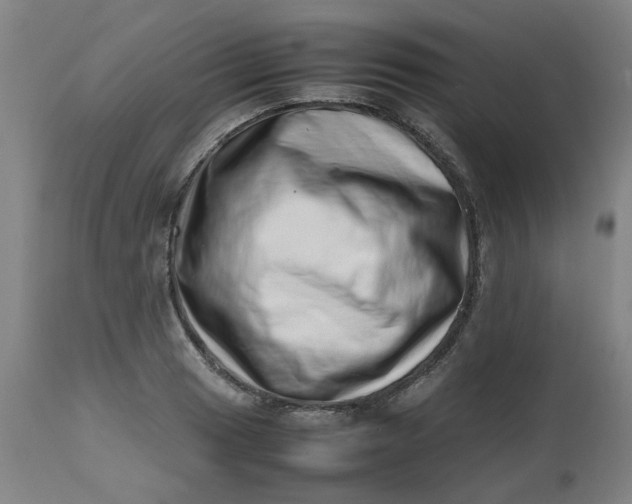 X0000112491033200909071216