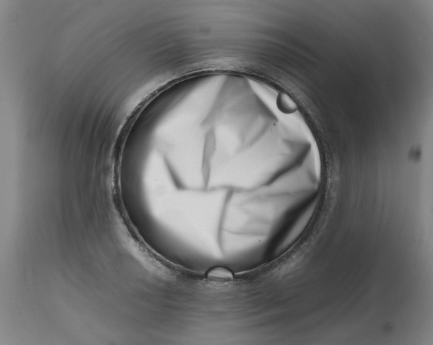 X0000112491034200909071216