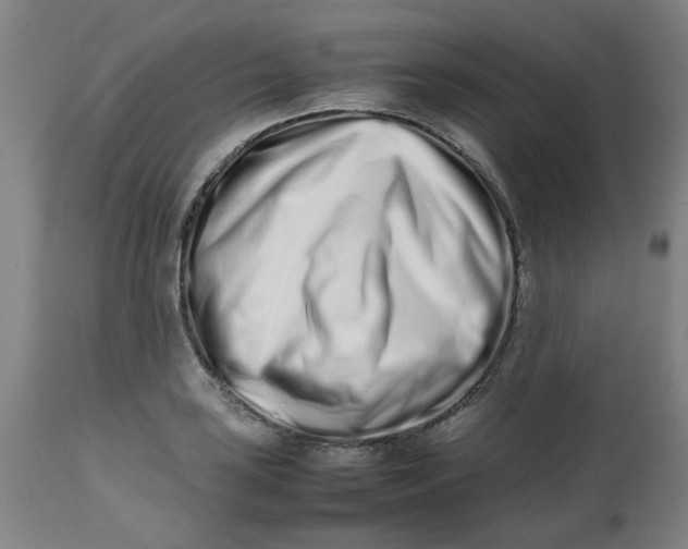 X0000112491035200909071216